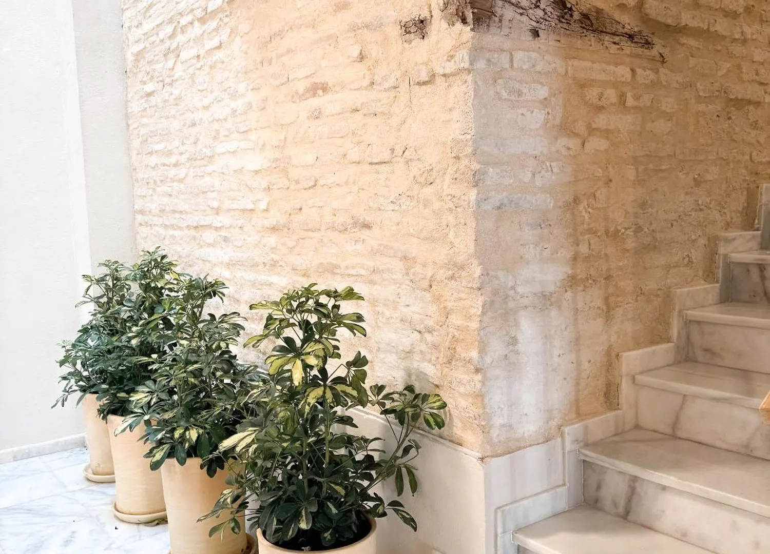 Monkeys Apartments Quintana C2 Seville