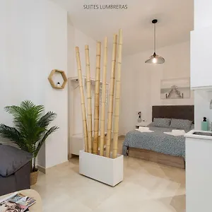 Lumbreras Appartement